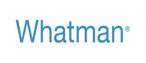 Whatman